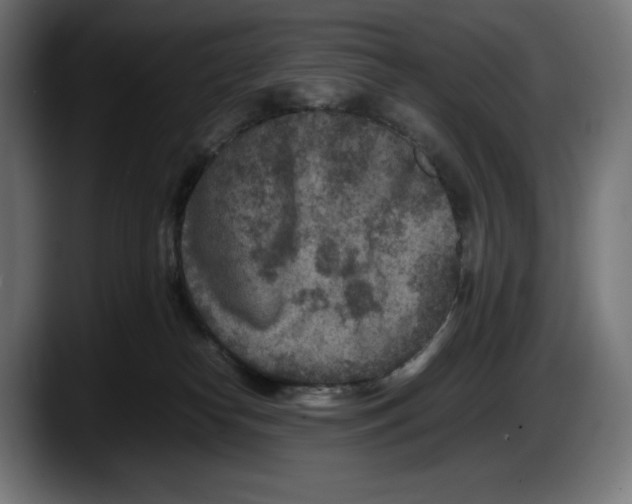X0000087580182200705251848