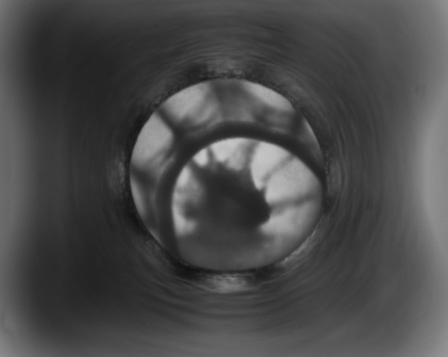 X0000087580183200705251848
