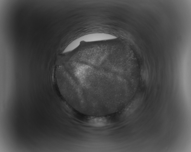 X0000087580185200705251848