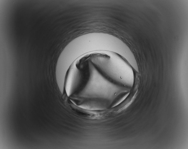 X0000087580186200705251848
