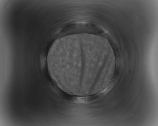 X0000087580188200705251848