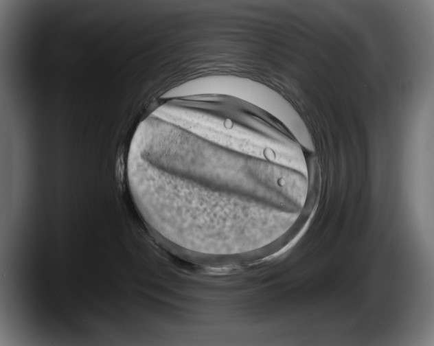 X0000087580190200705251848