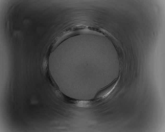 X0000087580192200705251848