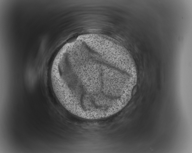 X0000087580194200705251848