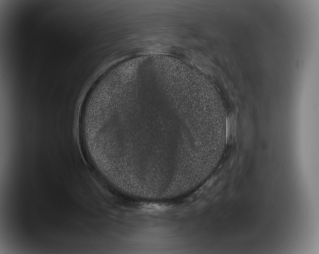 X0000087580195200705251848