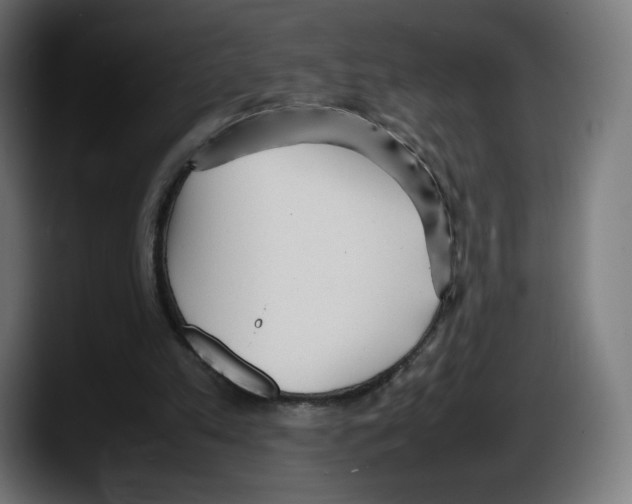 X0000087580197200705251848
