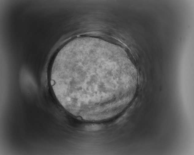 X0000087580198200705251848