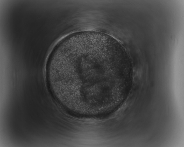 X0000087580200200705251848