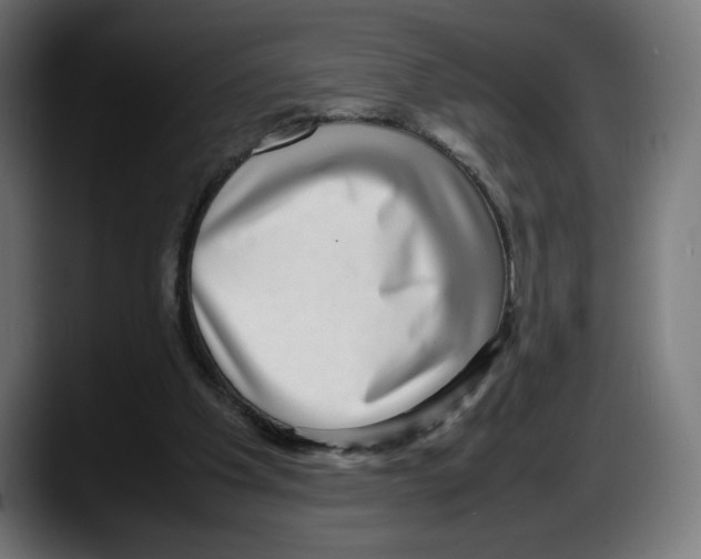X0000087580201200705251848