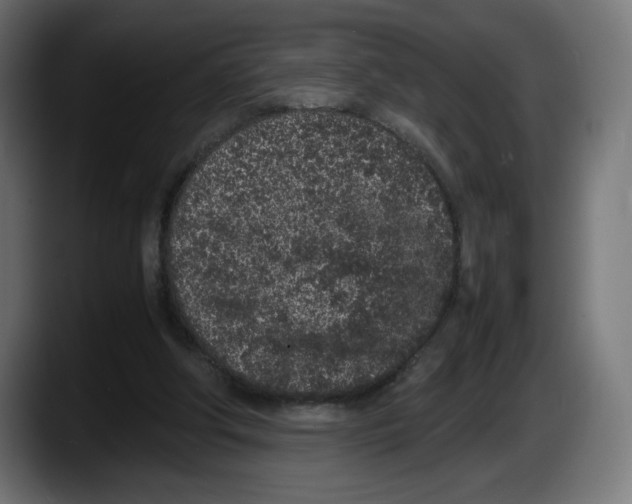 X0000087580202200705251848