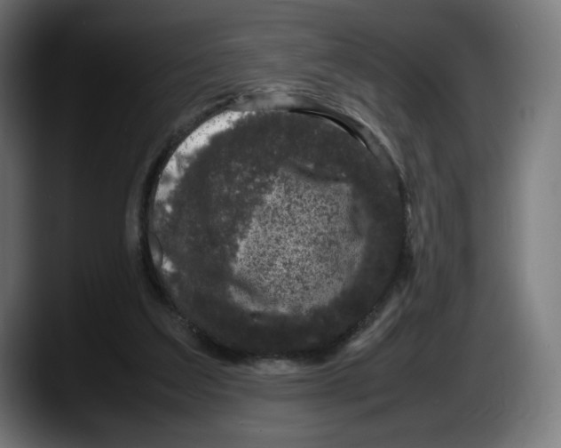 X0000087580203200705251848
