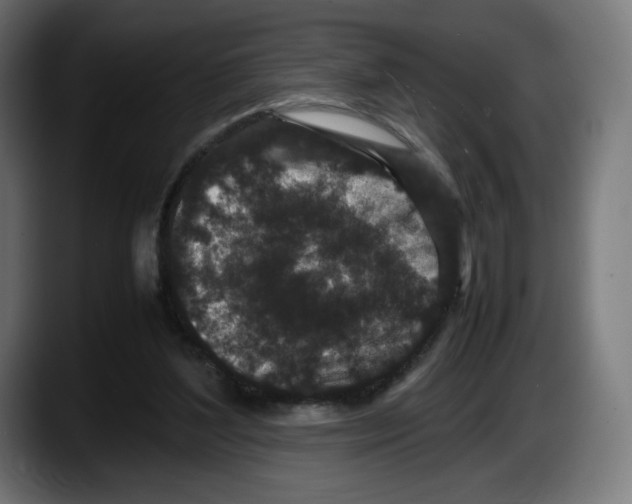 X0000087580204200705251848