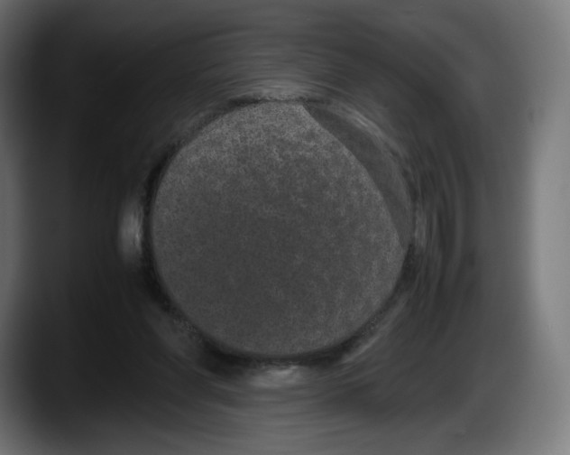 X0000087580206200705251848