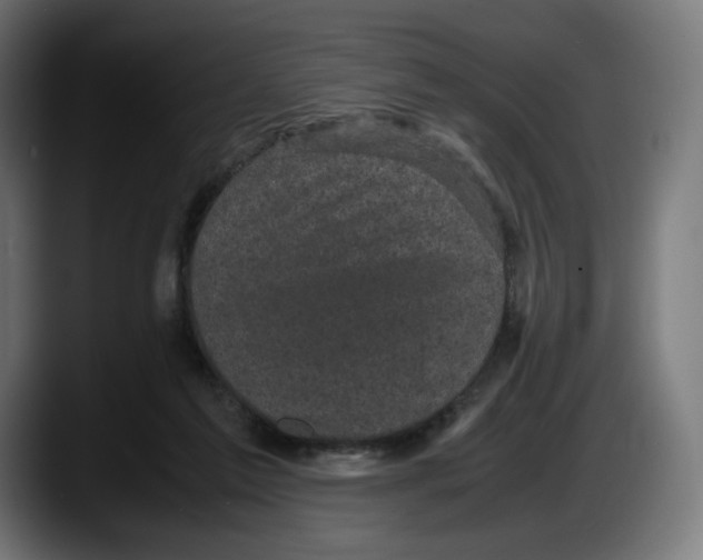 X0000087580213200705251848