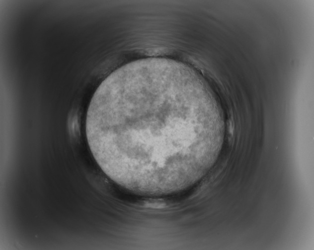 X0000087580214200705251848