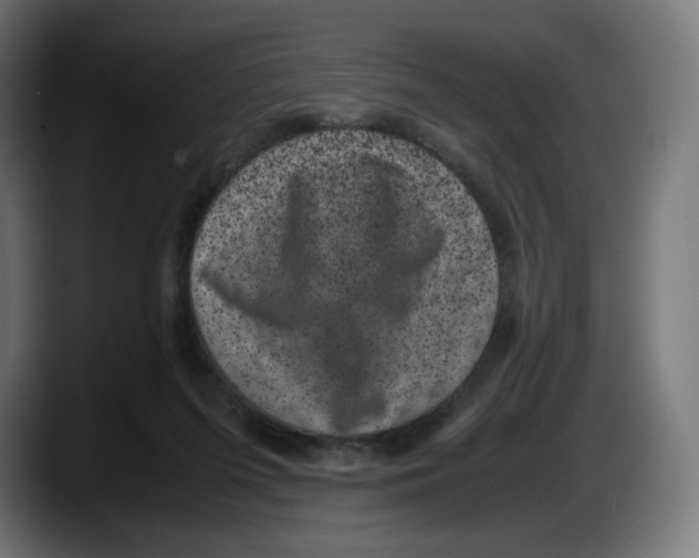 X0000087580215200705251848