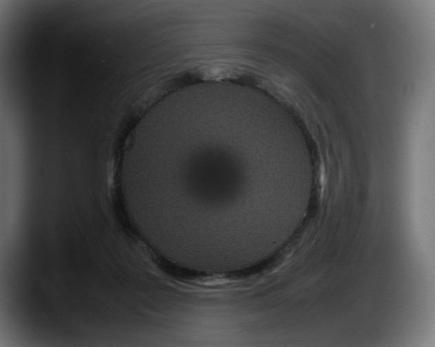 X0000087580219200705251847