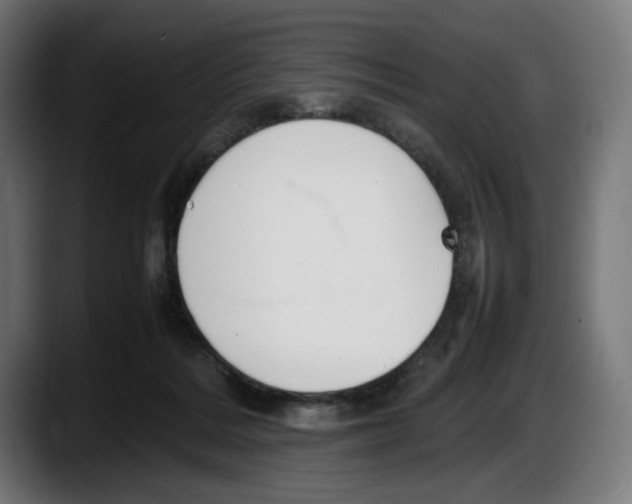 X0000087580220200705251847