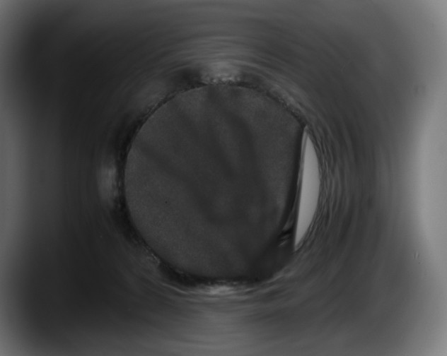 X0000087580224200705251847