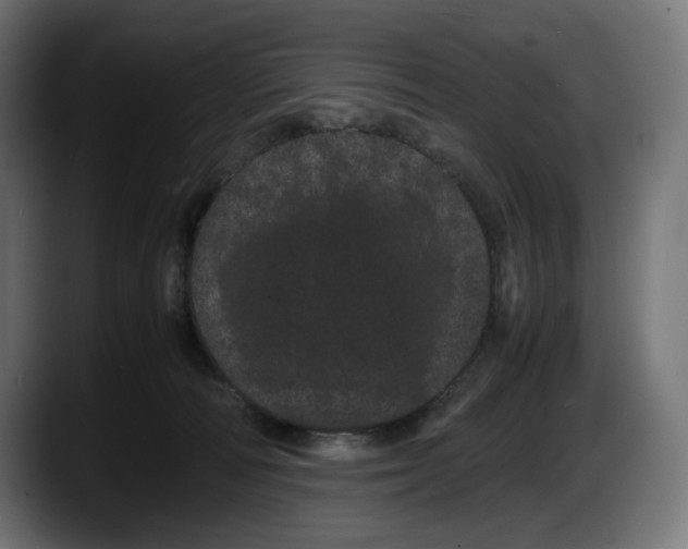 X0000087580226200705251847