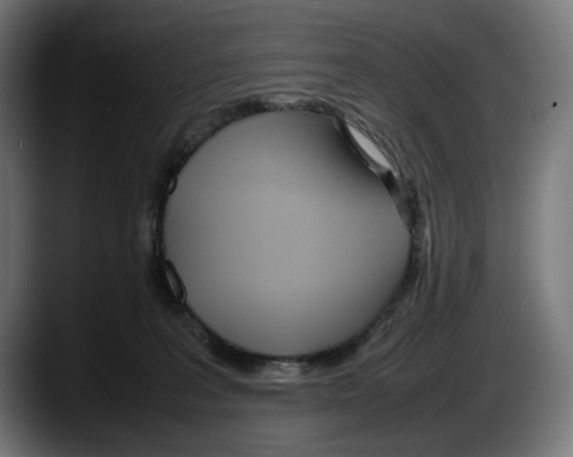 X0000087580227200705251847