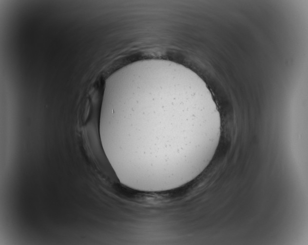 X0000087580229200705251847