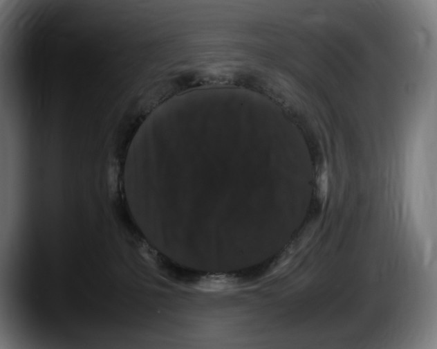 X0000087580231200705251847