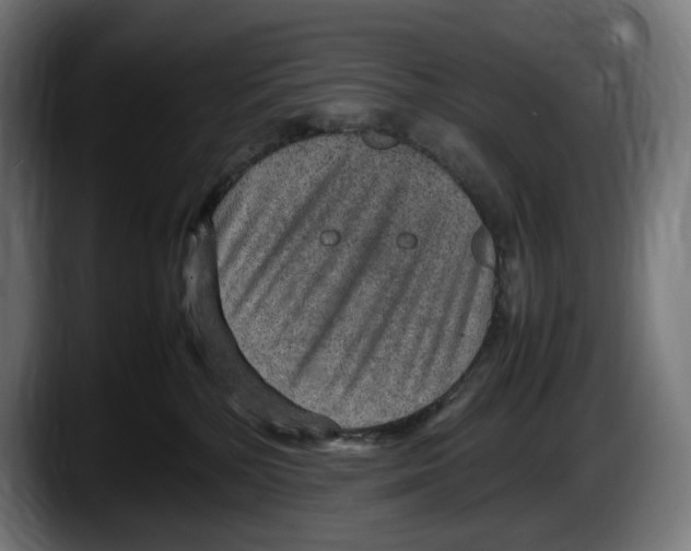 X0000087580232200705251847