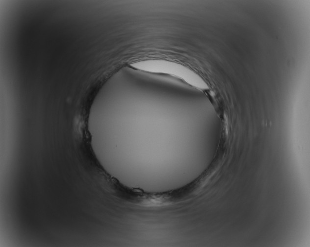 X0000087580235200705251847