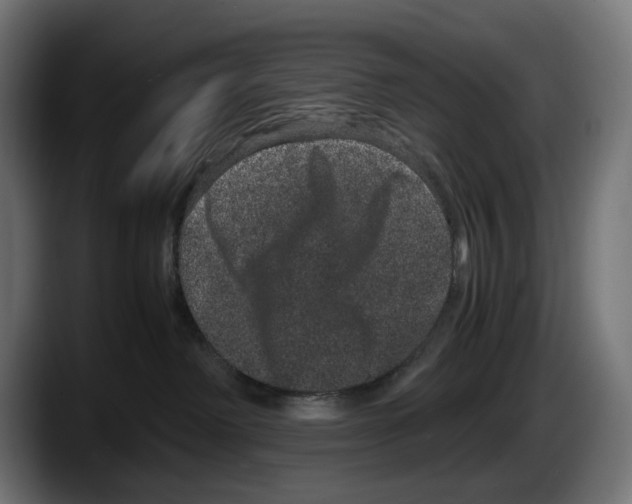 X0000087580238200705251847