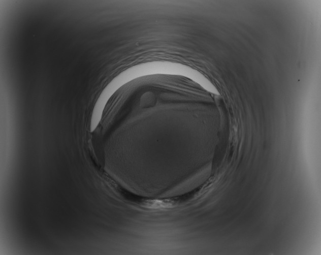 X0000087580239200705251847