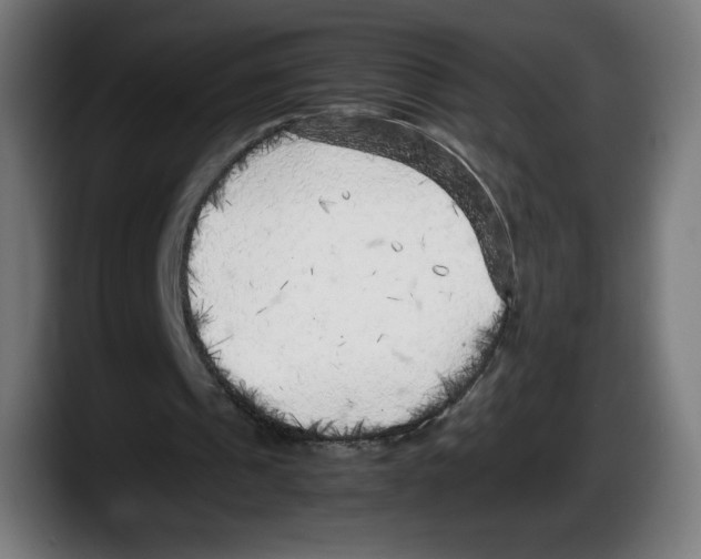 X0000087580241200705251847