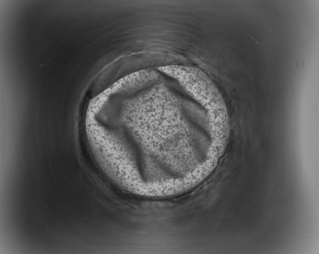 X0000087580242200705251847