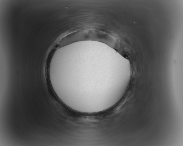 X0000087580244200705251847