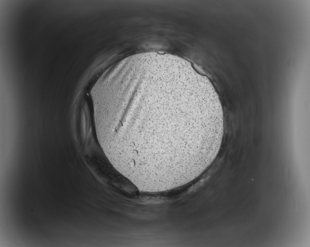 X0000087580245200705251847