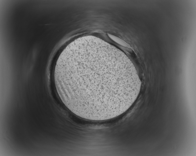 X0000087580246200705251847