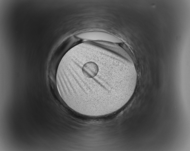 X0000087580248200705251847