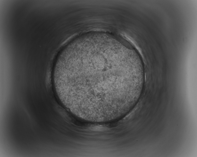 X0000087580249200705251847