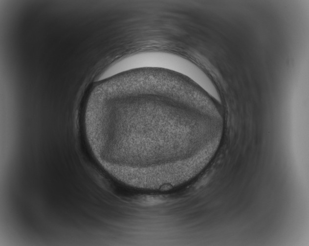 X0000087580250200705251847
