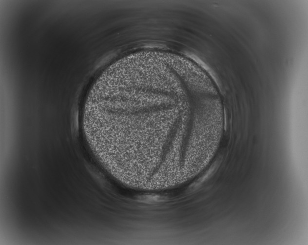 X0000087580253200705251847