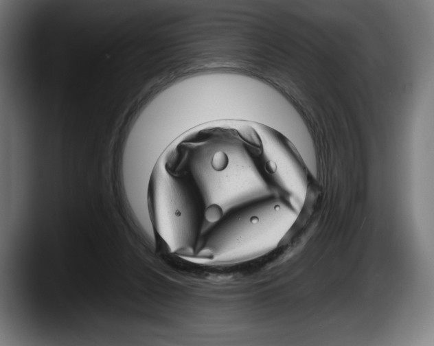 X0000087580256200705251847