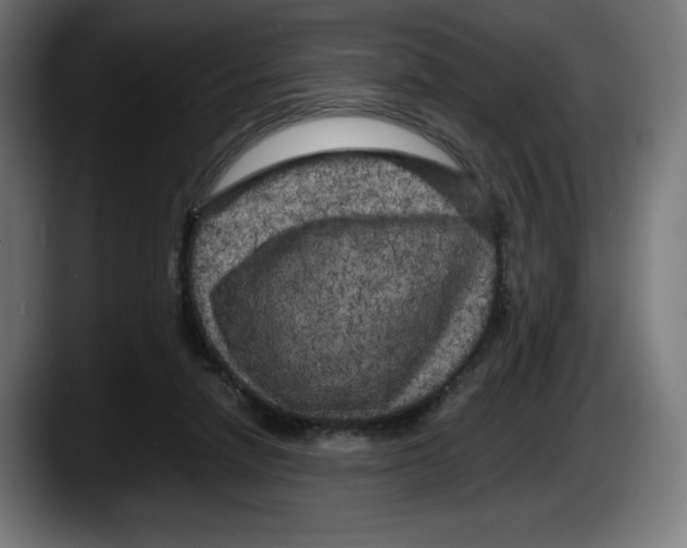 X0000087580258200705251847