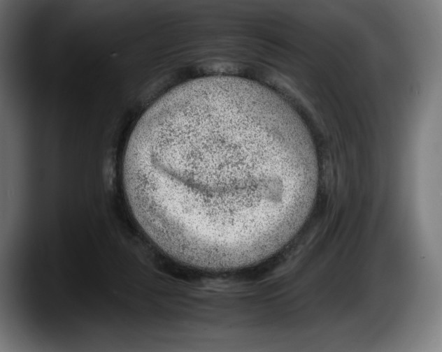 X0000087580259200705251847