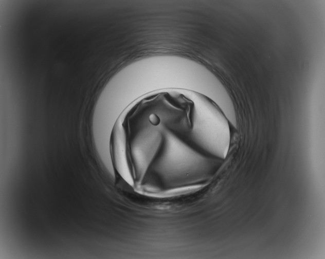 X0000087580264200705251847