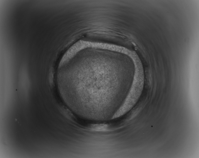 X0000087580266200705251847