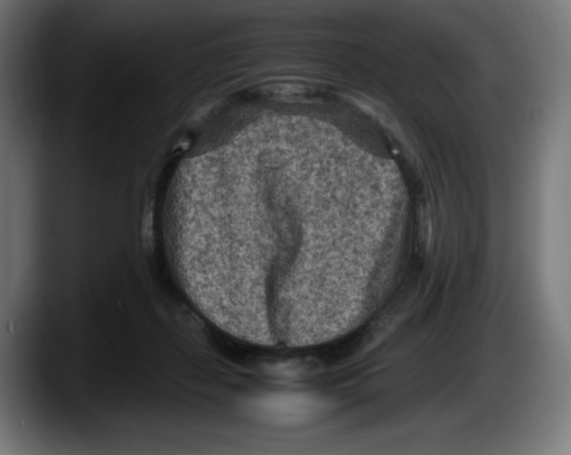 X0000087580267200705251847