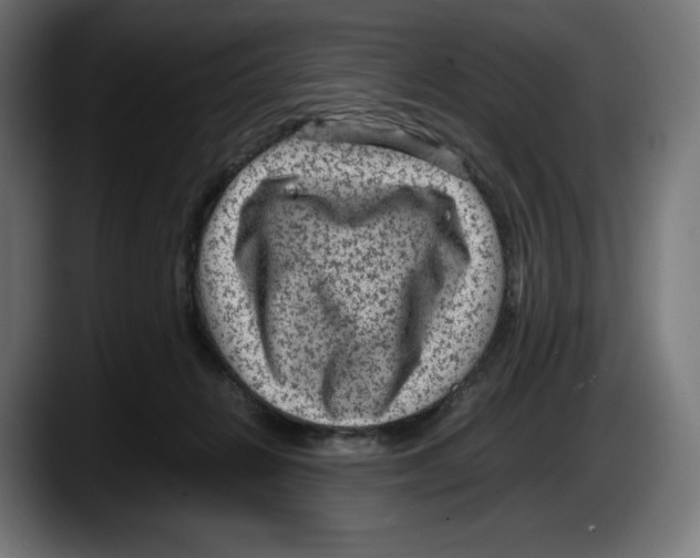 X0000087580270200705251847