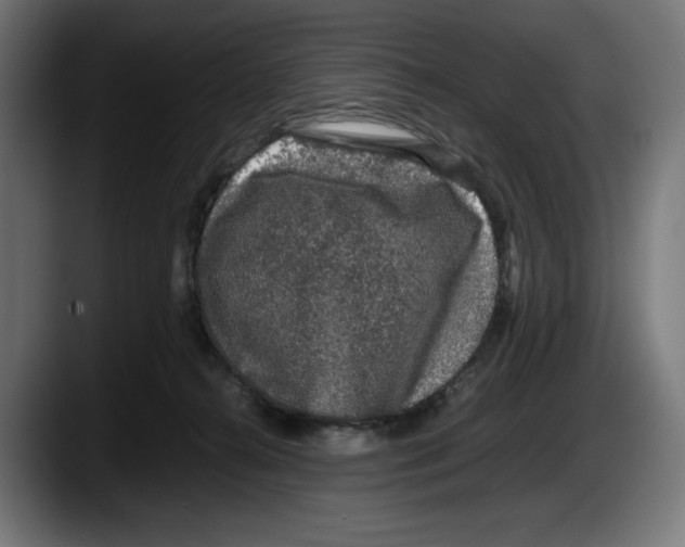 X0000087580272200705251847