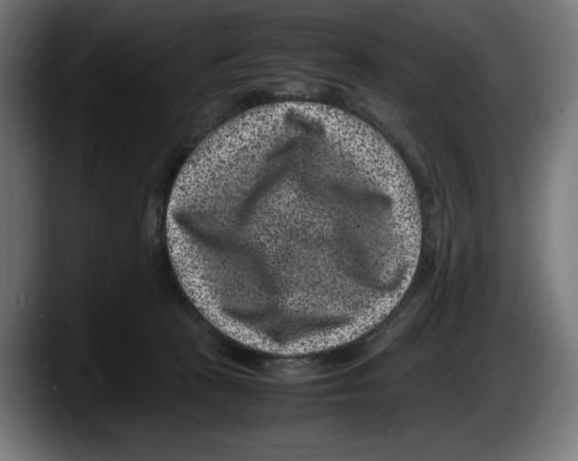 X0000087580273200705251847