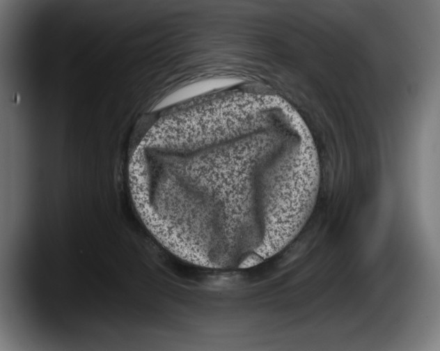 X0000087580274200705251847